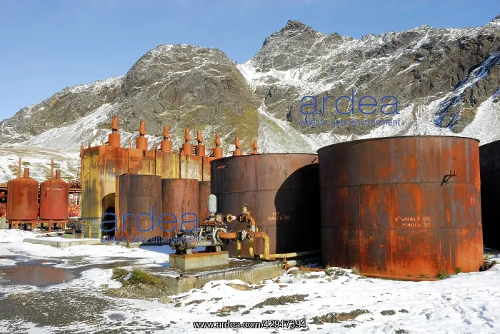 : Whale Oil tanks - Old Whaling station at Grytviken : Whale Oil tanks - Old Whaling station at Grytviken