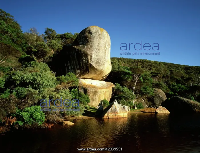 : Whale Rock, Tidal River, Wilsons Promontory National : Whale Rock, Tidal River, Wilsons Promontory National