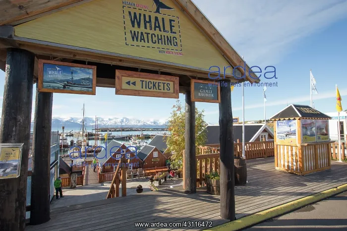 : Whale watching signage promoting wildlife tourism : Whale watching signage promoting wildlife tourism