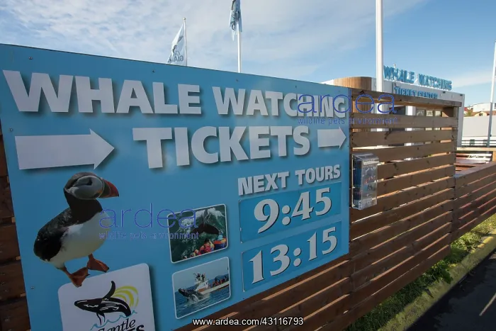 : Whale watching signage promoting wildlife tourism : Whale watching signage promoting wildlife tourism