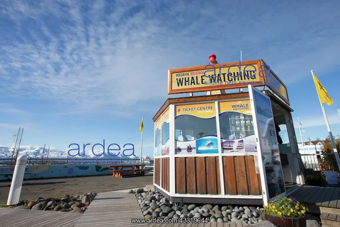 : Whale watching signage promoting wildlife tourism : Whale watching signage promoting wildlife tourism