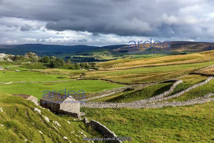 : Wharfedale - Height Laithe Near Grassington - Yorkshire - UK : Wharfedale - Height Laithe Near Grassington - Yorkshire - UK