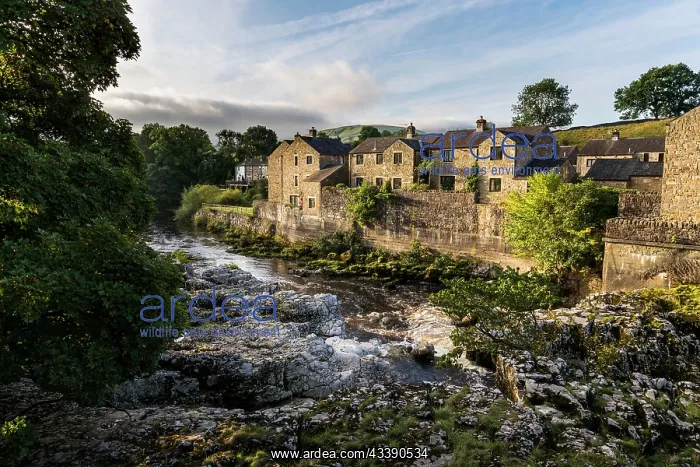 : Wharfedale - Linton Falls - Yorkshire - UK : Wharfedale - Linton Falls - Yorkshire - UK