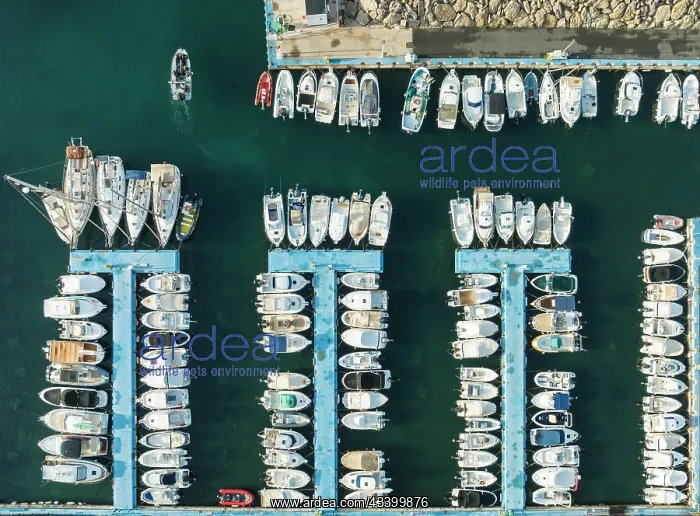 : Wharves at the marina of San Joss. Aerial view : Wharves at the marina of San Joss. Aerial view
