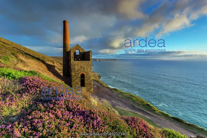  : Wheal Coates - Engine House - St Agnes - Cornwall - UK