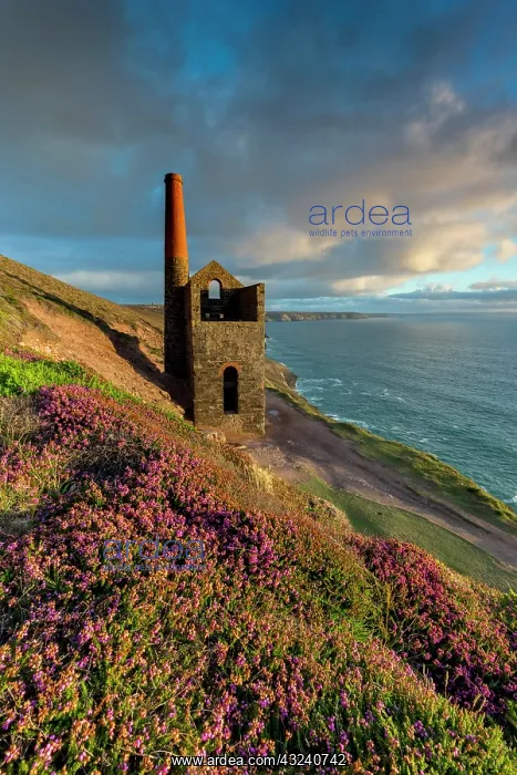 : Wheal Coates - Engine House - St Agnes - Cornwall - UK : Wheal Coates - Engine House - St Agnes - Cornwall - UK