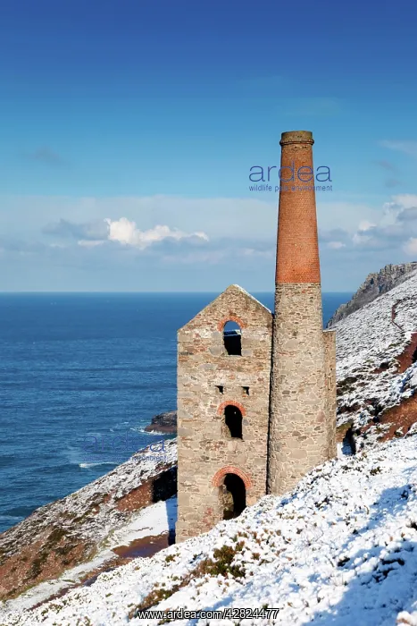 : Wheal Coates - engine house in winter snow : Wheal Coates - engine house in winter snow