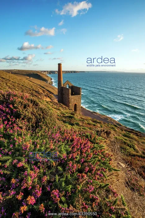: Wheal Coates - St Agnes - Cornwall - UK : Wheal Coates - St Agnes - Cornwall - UK