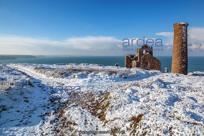: Wheal Coates - St Agnes - Snow - Cornwall - UK : Wheal Coates - St Agnes - Snow - Cornwall - UK