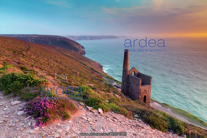 : Wheal Coates - at sunset : Wheal Coates - at sunset