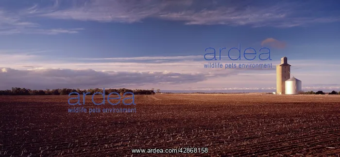 : Wheat Field and Silo : Wheat Field and Silo