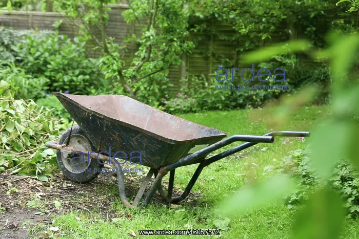 : Wheelbarrow : Wheelbarrow