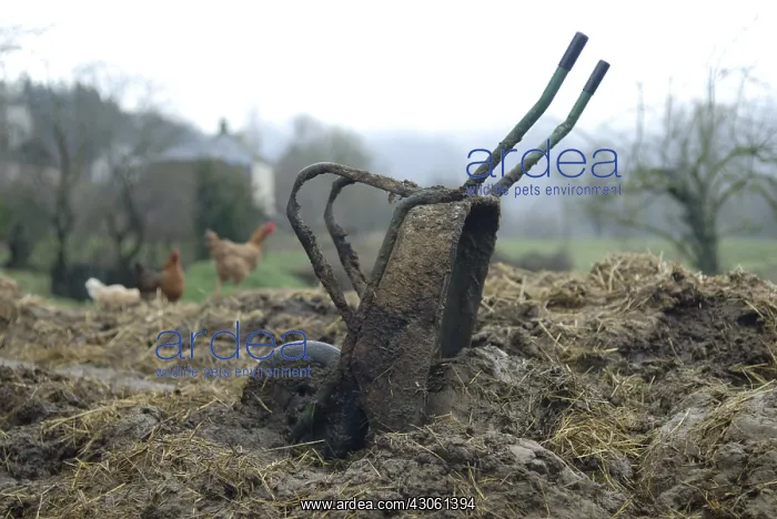 : Wheelbarrow used to pull the cow manure Aveyron France : Wheelbarrow used to pull the cow manure Aveyron France
