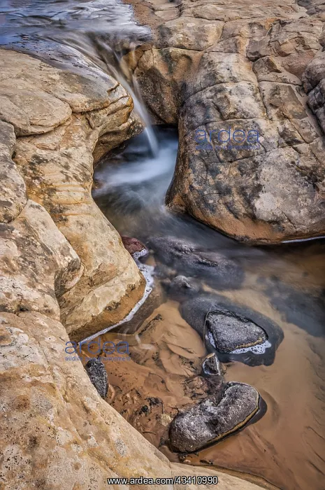 : Whirlpools, Escalante, Utah : Whirlpools, Escalante, Utah