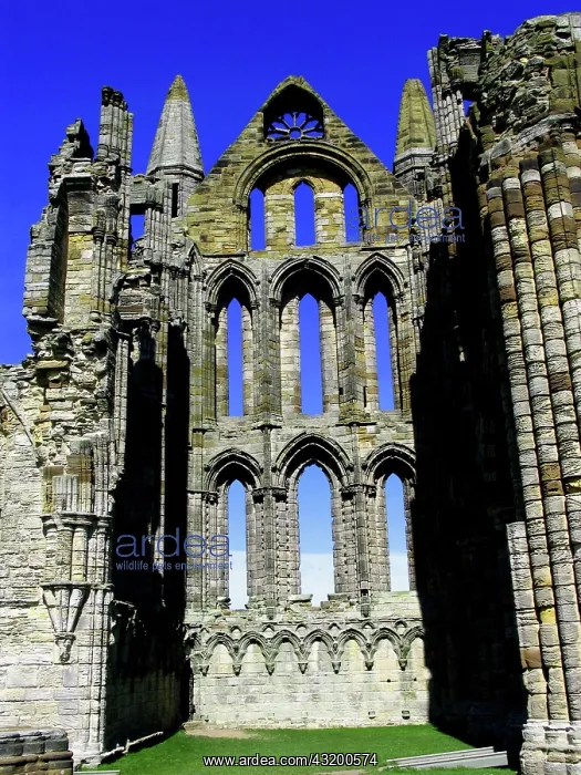: Whitby Abbey, England. NOTE: This image avail. up : Whitby Abbey, England. NOTE: This image avail. up