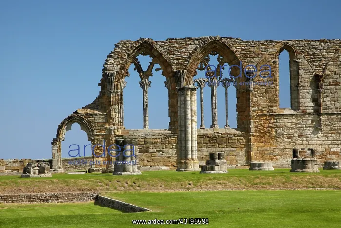 : Whitby Abbey ruins (built circa 1220), Whitby, North : Whitby Abbey ruins (built circa 1220), Whitby, North