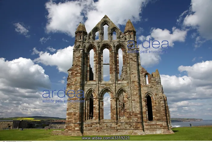 : Whitby Abbey ruins, Whitby, North Yorkshire, England : Whitby Abbey ruins, Whitby, North Yorkshire, England