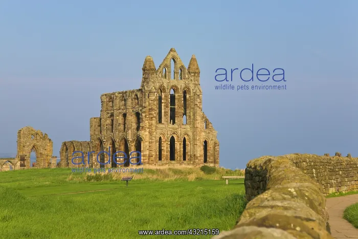 : Whitby Abbey, Whitby, North Yorkshire, England Cafe : Whitby Abbey, Whitby, North Yorkshire, England Cafe
