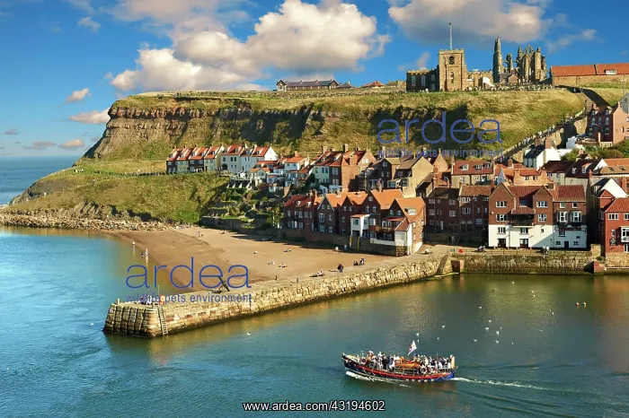: Whitby harbour with Whitby Abbey on the headland : Whitby harbour with Whitby Abbey on the headland