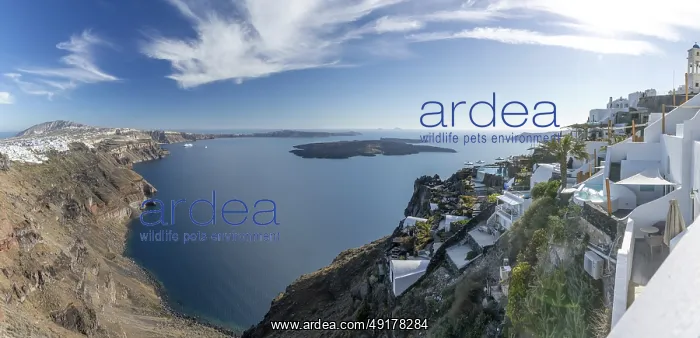 : White buildings on the crater rim : White buildings on the crater rim