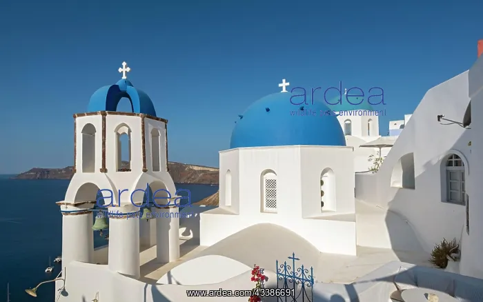  : White churches with blue dome, Agios Spiridonas
