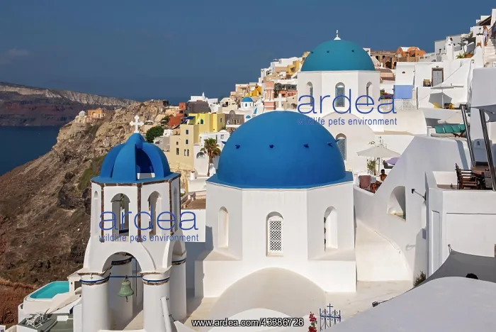 : White churches with blue dome, Agios Spiridonas : White churches with blue dome, Agios Spiridonas