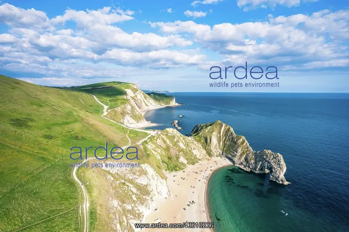  : White Cliffs over Jurassic Coast and Durdle Door