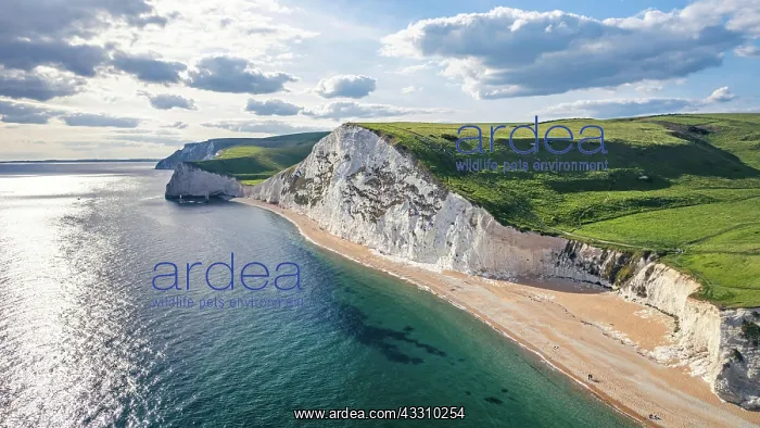 : White Cliffs over Jurassic Coast and Durdle Door : White Cliffs over Jurassic Coast and Durdle Door