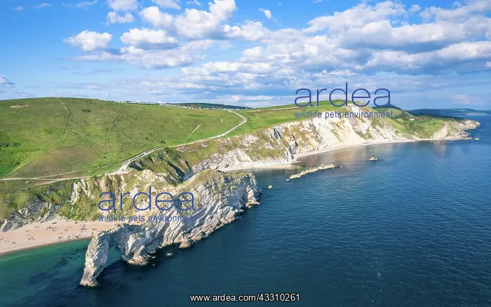 : White Cliffs over Jurassic Coast and Durdle Door : White Cliffs over Jurassic Coast and Durdle Door