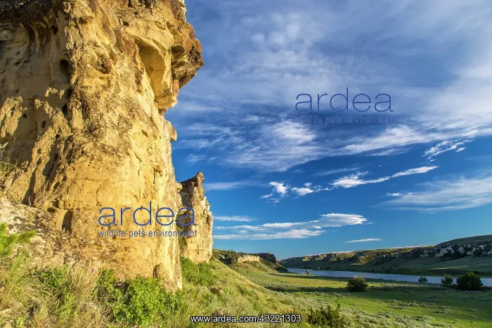 : The White Cliffs of the Missouri River at : The White Cliffs of the Missouri River at
