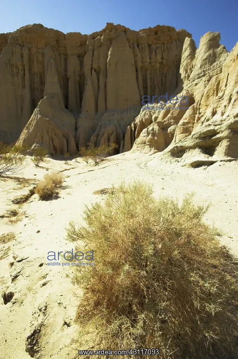 : White Cliffs, Red Rock Canyon State Park : White Cliffs, Red Rock Canyon State Park