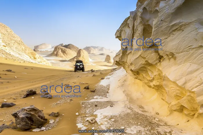 : White Desert at Farafra in the Sahara of Egypt : White Desert at Farafra in the Sahara of Egypt