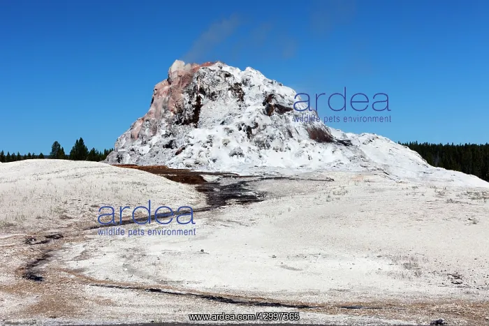 : White Dome Geyser Firehole Lake Drive - Yellowstone : White Dome Geyser Firehole Lake Drive - Yellowstone