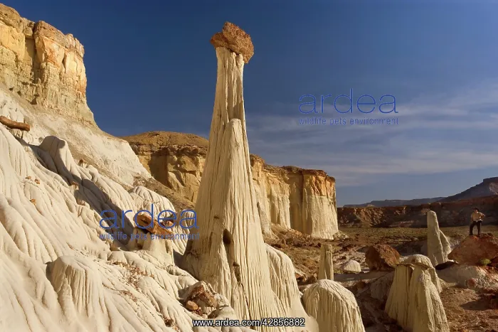 : White Ghosts - the Wahweap Hoodoos are amazingly : White Ghosts - the Wahweap Hoodoos are amazingly