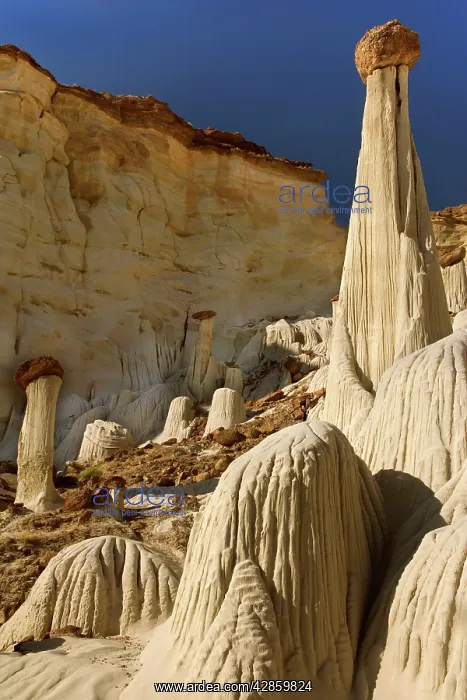 : White Ghosts - the Wahweap Hoodoos are white pedestral : White Ghosts - the Wahweap Hoodoos are white pedestral