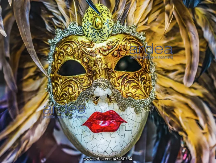 : White golden Venetian mask feathers, Venice, Italy : White golden Venetian mask feathers, Venice, Italy