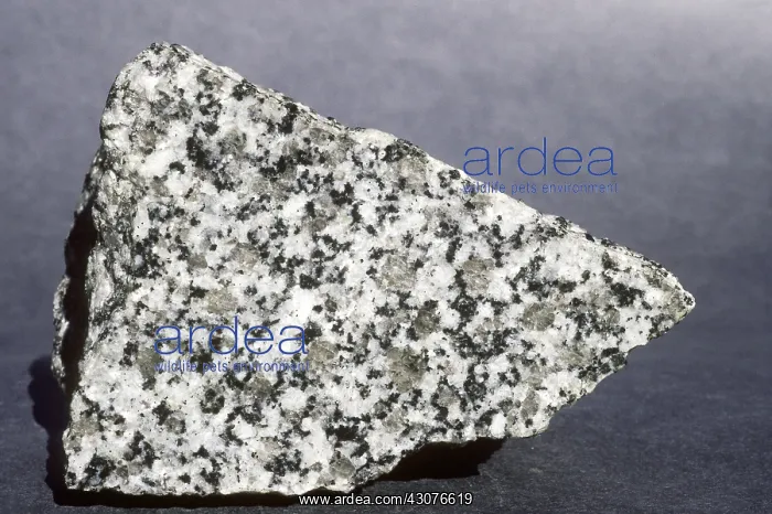 : White granite : White granite