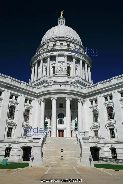 : White granite capitol of Madison, the state capital : White granite capitol of Madison, the state capital
