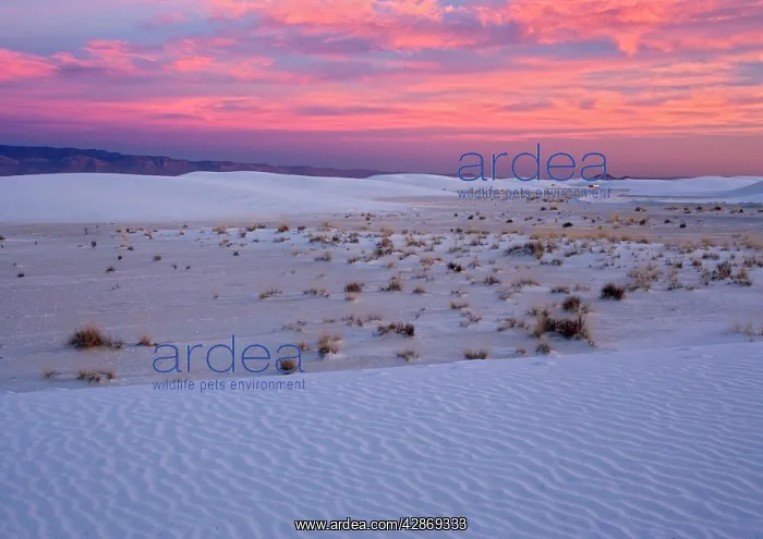 : White Gypsum Dunes - with beautiful wind-sculpted : White Gypsum Dunes - with beautiful wind-sculpted