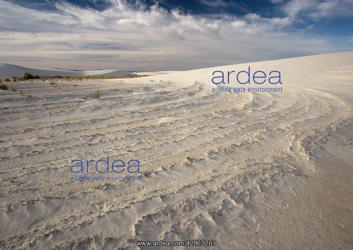 : White Gypsum Dunes - sculpted by the wind : White Gypsum Dunes - sculpted by the wind