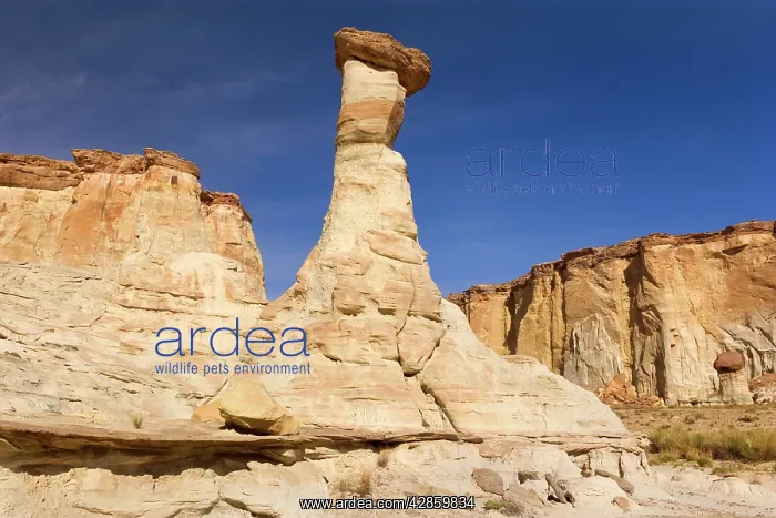  : White Hoodoo - beautiful white hoodoo topped by a brown rock