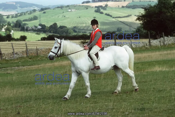 : White Horse - girl riding on Cleeve Hil : White Horse - girl riding on Cleeve Hil
