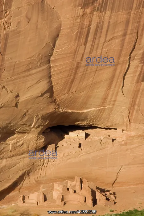 : The White House Ruin, Canyon de Chelly National : The White House Ruin, Canyon de Chelly National