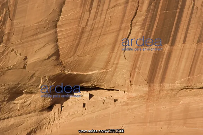  : The White House Ruin Canyon de Chelly National