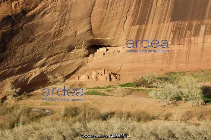 : The White House Ruin, Canyon de Chelly National : The White House Ruin, Canyon de Chelly National