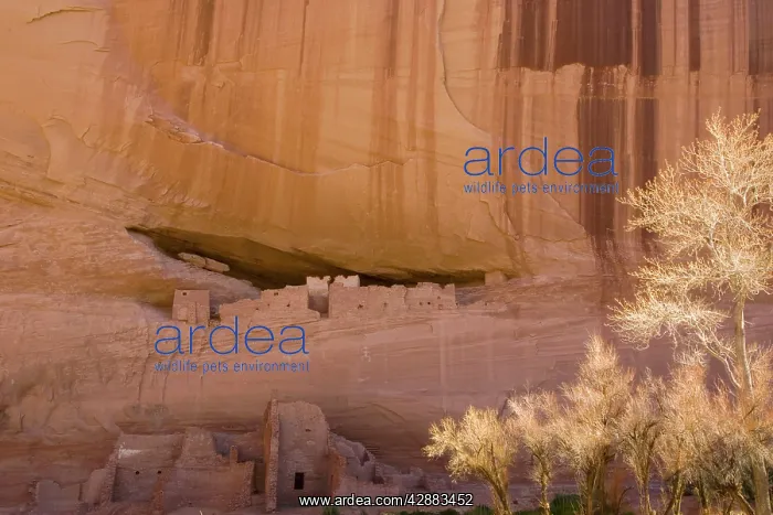  : The White House Ruin, Canyon de Chelly National