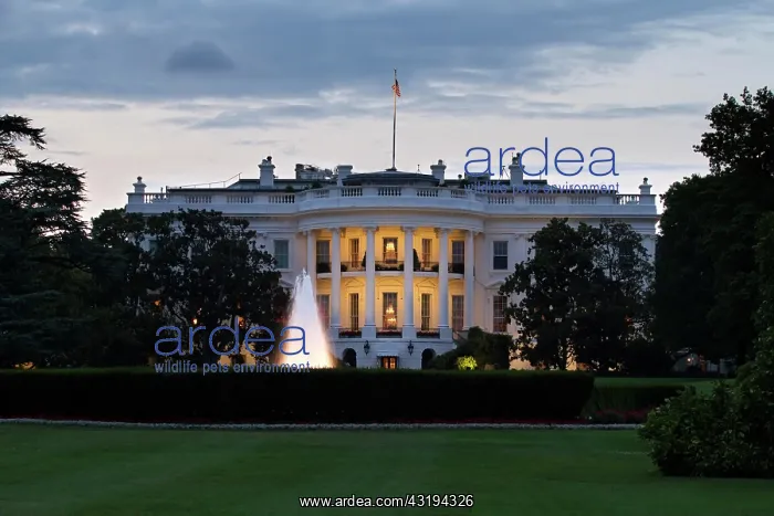 : White House, Washington DC, USA, North America : White House, Washington DC, USA, North America