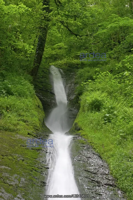  : White Lady Falls