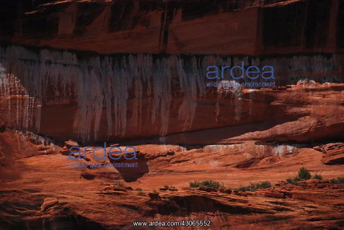 : White Mineral Deposits, Canyon de Chelly NP, Arizona : White Mineral Deposits, Canyon de Chelly NP, Arizona