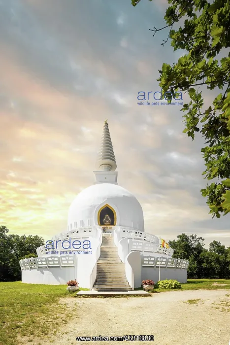 : White Peace Stupa Zalaszanto, Buddhist centre, temple : White Peace Stupa Zalaszanto, Buddhist centre, temple